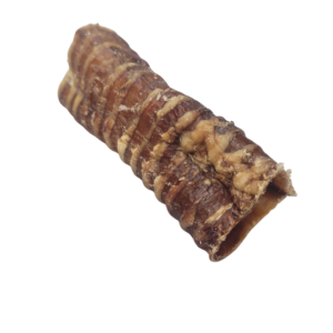 Beef Trachea
